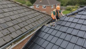 7 Critical Signs You Need a New Roof in Hinckley: The 2026 Homeowner’s Guide